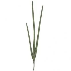 38 Inch Fire Retardant Sansevieria Plant (Set Of 6)