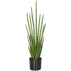 36.5 Inch Fire Retardant Cylindrica Sansevieria: Potted