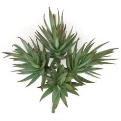 9 Inch Fire Retardant Agave Albomargina
