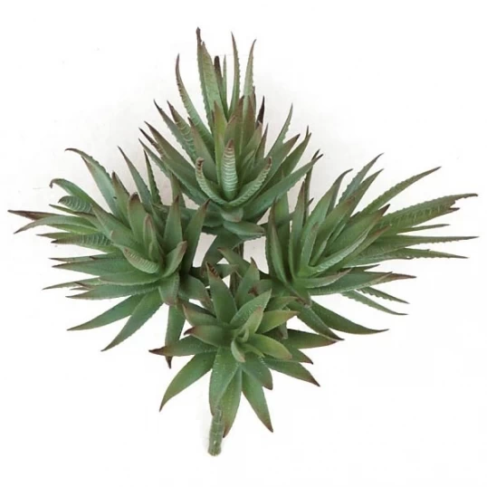 9 Inch Fire Retardant Agave Albomargina