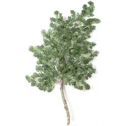 8 Foot Fire Retardant Pin Oak Branch With Natural Trunk