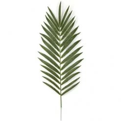 56 Inch Fire Retardant Kentia Palm Branch (Set Of 12)