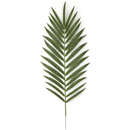 56 Inch Fire Retardant Kentia Palm Branch (Set Of 12)