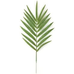 42 Inch Fire Retardant Kentia Palm Branch (Set Of 12)
