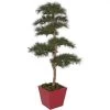 7 Foot Fire Retardant PVC Needle Pine Tree With Natural Trunks: Potted