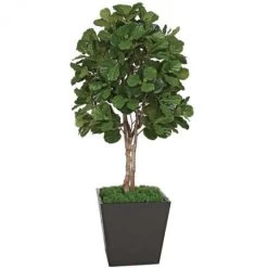 7 Foot Fire Retardant Fiddle Leaf Fig Tree With Natural Trunks: Potted