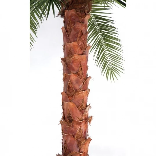 13 Foot Fire Retardant Phoenix Palm With Natural Trunk - Image 2