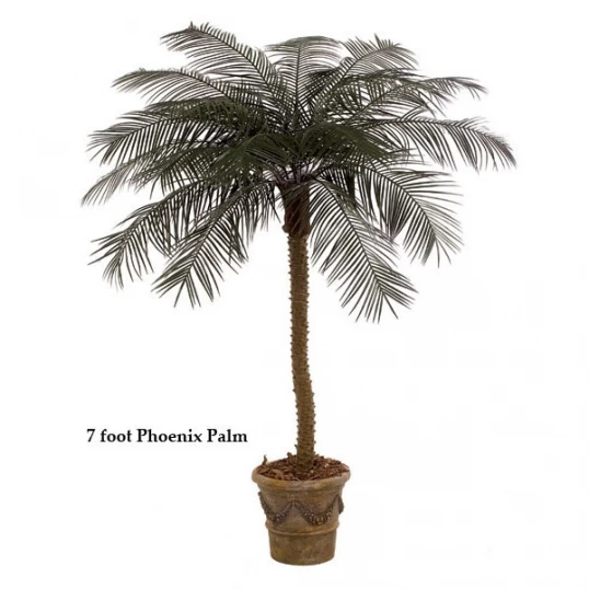 7 Foot Outdoor Artificial Phoenix Palm With 18 Fronds