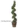 6 Foot Outdoor Artificial Ming Aralia Spiral Topiary