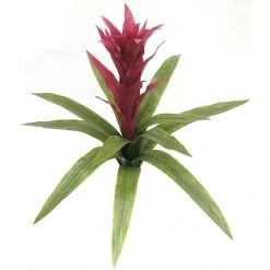 22 Inch Outdoor Artificial Fuchsia Bromeliad: Unpotted