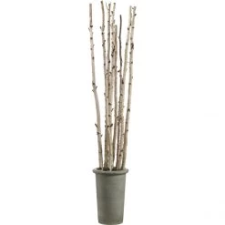 8 Foot Artificial Birch Poles In Fiber Cement Container