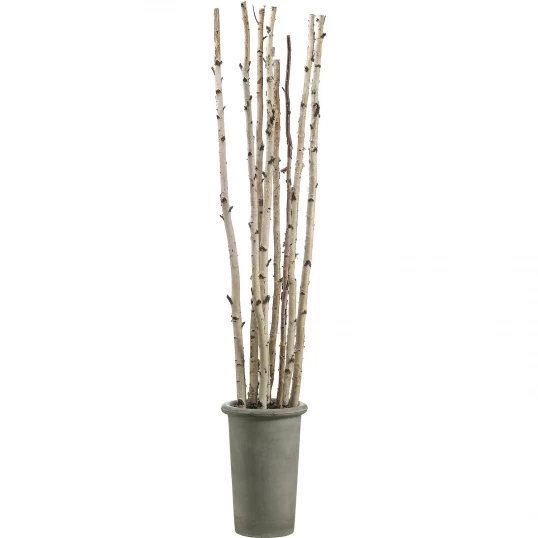 8 Foot Artificial Birch Poles In Fiber Cement Container