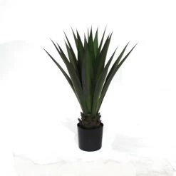 36 Inch Outdoor Potted Agave Plant: Limited UV (Set Of 2)