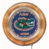 15 Inch Florida Neon Clock