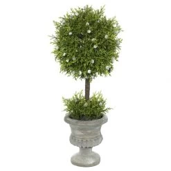 15 Inch Oregon Juniper Ball Topiary In Decorative Planter