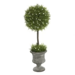 21 Inch Oregon Juniper Ball Topiary In Decorative Planter