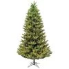 7.5 Foot Montecito Fir Medium Christmas Tree: Clear Lights