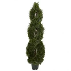 5 Foot Pond Cypress Spiral Topiary: UV Protected