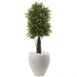 40 Inch Ixora Topiary In White Planter: UV Protected