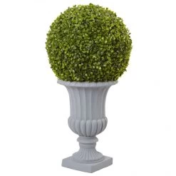 30 Inch Boxwood Topiary In Decorative Urn: UV Protected
