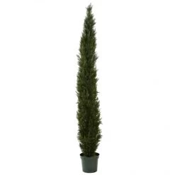 8 Foot Slim Cedar Pine Tree: Potted (Not UV Protected)