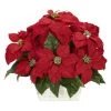 Silk Poinsettias In White Wash Planter