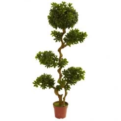 5 Foot Outdoor Artificial Pittosporum: Limited UV