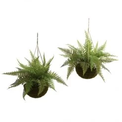 18 Inch Outdoor Leather Fern In Mossy Hanging Basket (Set Of 2) Limited UV Protection