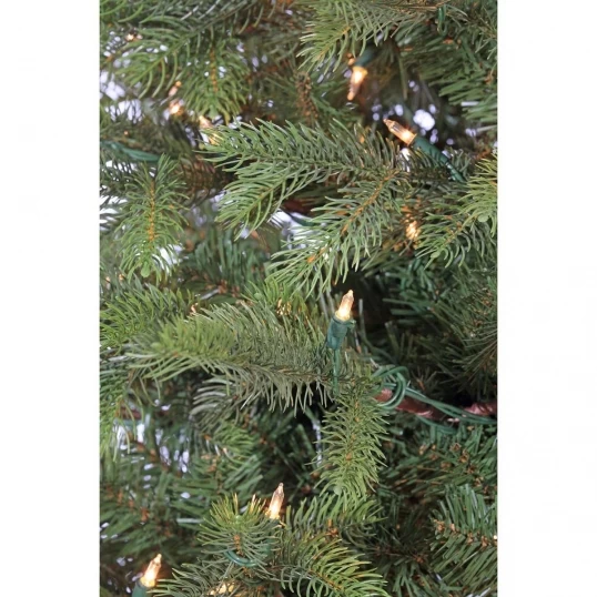 9 Foot Pinehurst Fraser Fir Christmas Tree: Clear Lights - Image 2