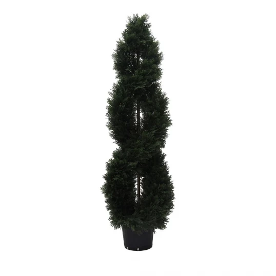 5 Foot UV Protected Cedar Double Spiral Topiary: Potted