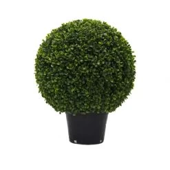 20 Inch UV Protected Boxwood Ball Topiary: Potted