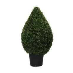 3 Foot UV Protected Boxwood Cone Topiary: Potted
