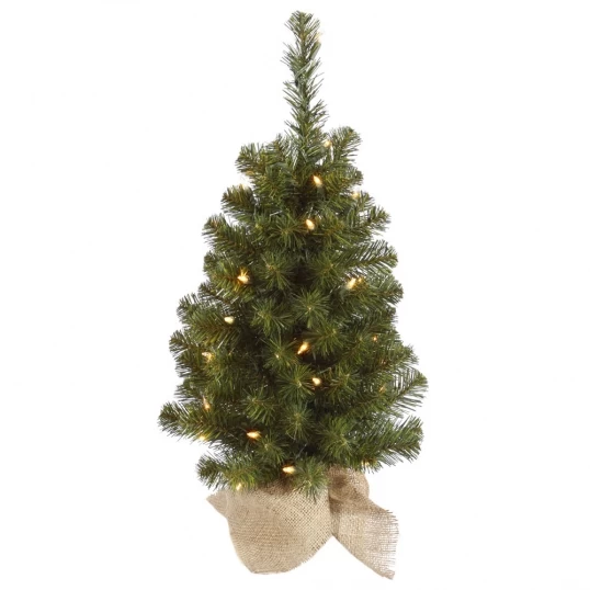 2 Foot Felton Pine Tree In Burlap Base: Unlit