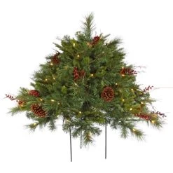 24 Inch Cibola Berry Mixed Pine Bush: Clear Lights