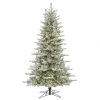 10 Foot PE/PVC Frosted Eastern Frasier Fir Tree: Clear LEDs