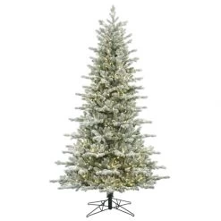 10 Foot PE/PVC Frosted Eastern Frasier Fir Tree: Clear LEDs
