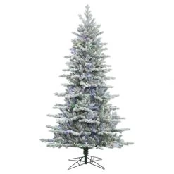 6.5 Foot PE/PVC Frosted Eastern Frasier Fir Tree: Multi-Colored LEDs