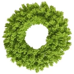 24 Inch Flocked Lime Fir Wreath: Unlit