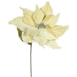 22 Inch Velvety Champagne Poinsettia - 12 Inch Flower: Set Of 6