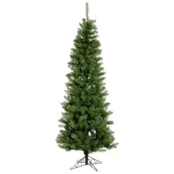 5.5 Foot Salem Pencil Pine Christmas Tree: Unlit