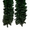 50 Foot X 12 Inch Douglas Fir Garland: Unlit
