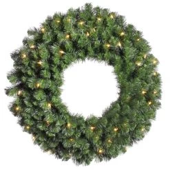 24 Inch Douglas Wreath: Lights